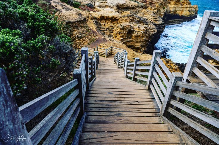 1533DF24-A78B-4CB3-B724-E78DEB679D67